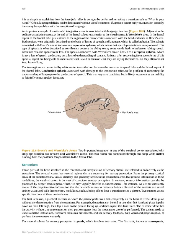 Anatomy & Physiology - 