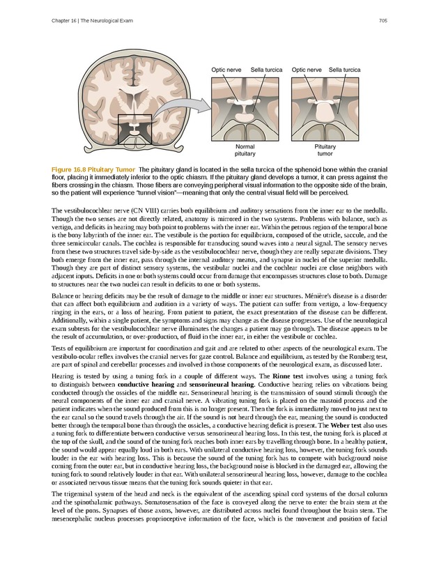 Anatomy & Physiology - 