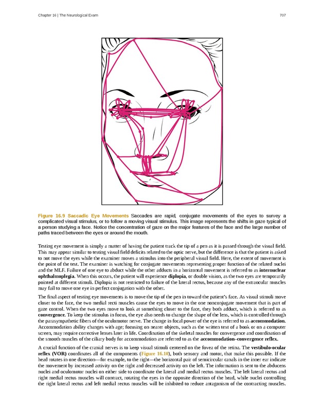 Anatomy & Physiology - 