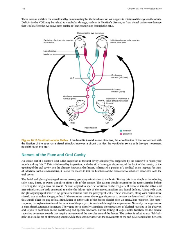 Anatomy & Physiology - 