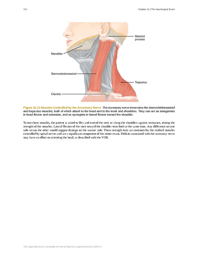 Anatomy & Physiology - 
