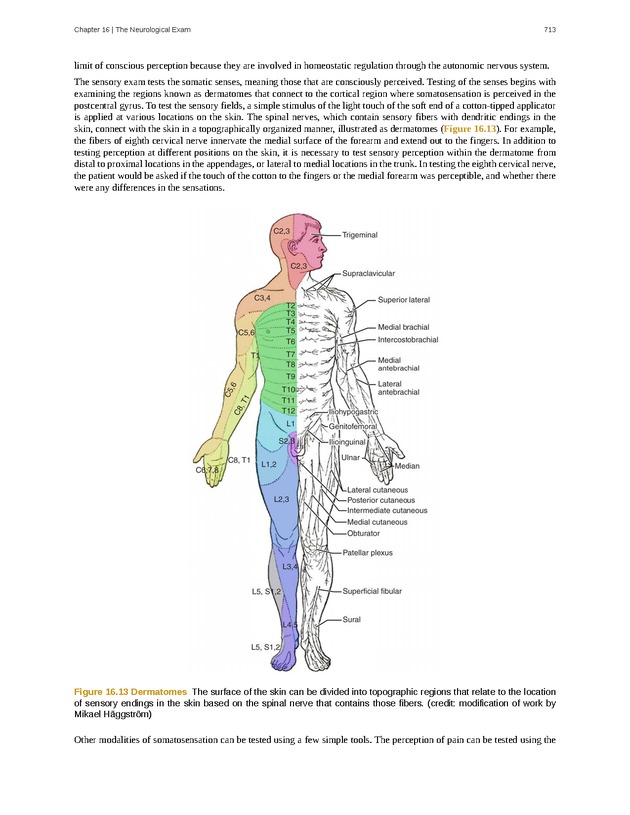 Anatomy & Physiology - 