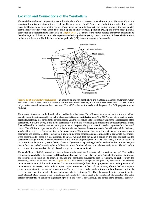 Anatomy & Physiology - 