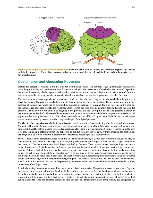 Anatomy & Physiology - 