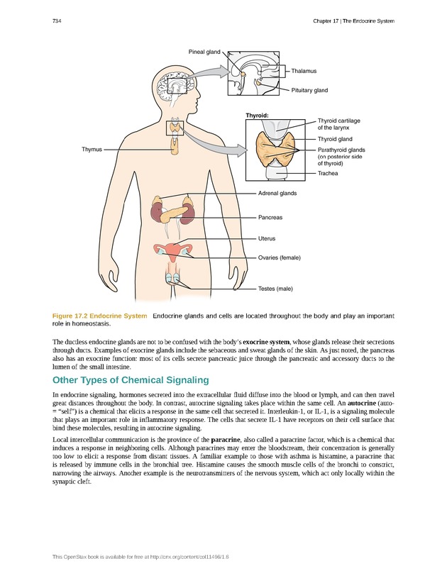 Anatomy & Physiology - 