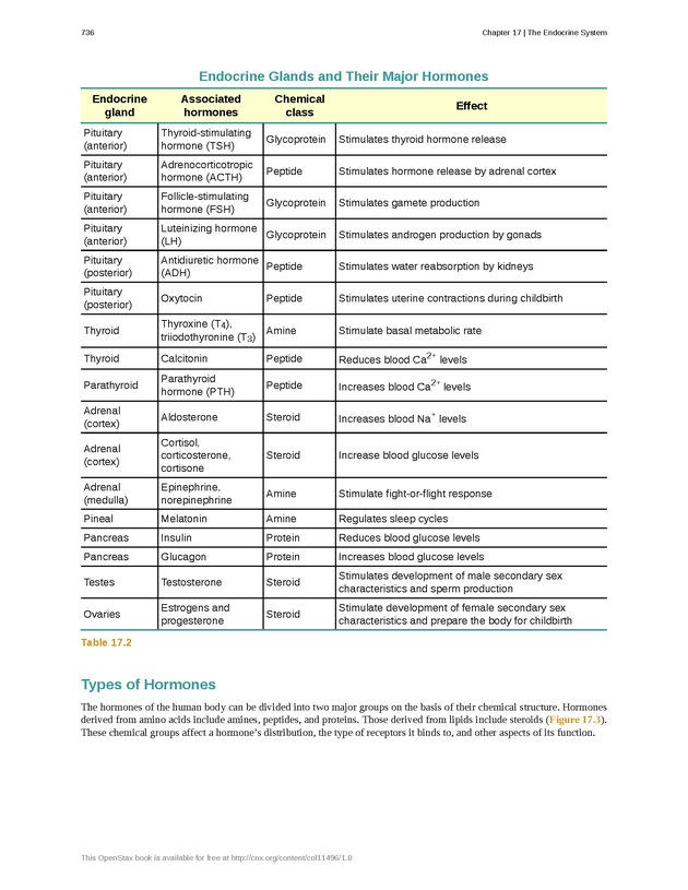 Anatomy & Physiology - 