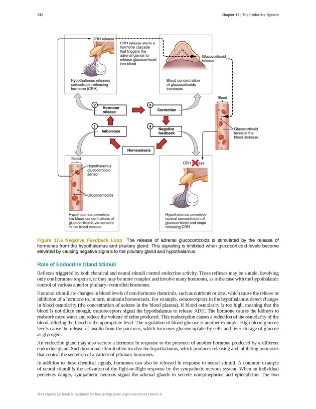 Anatomy & Physiology - 