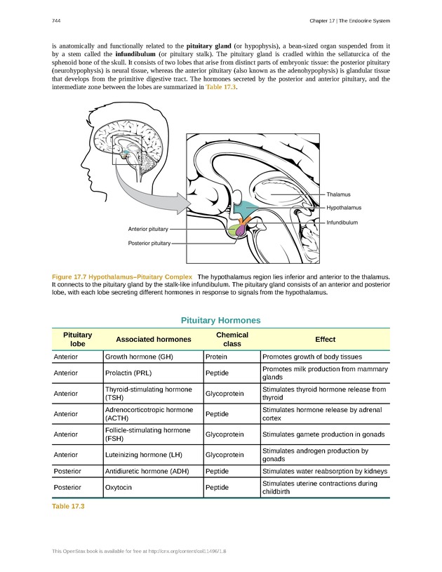 Anatomy & Physiology - 