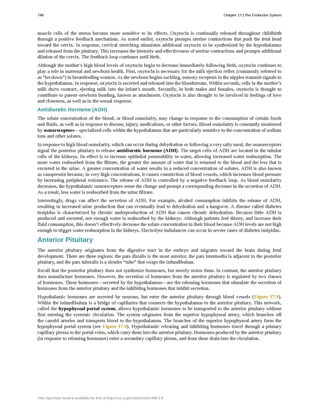 Anatomy & Physiology - 