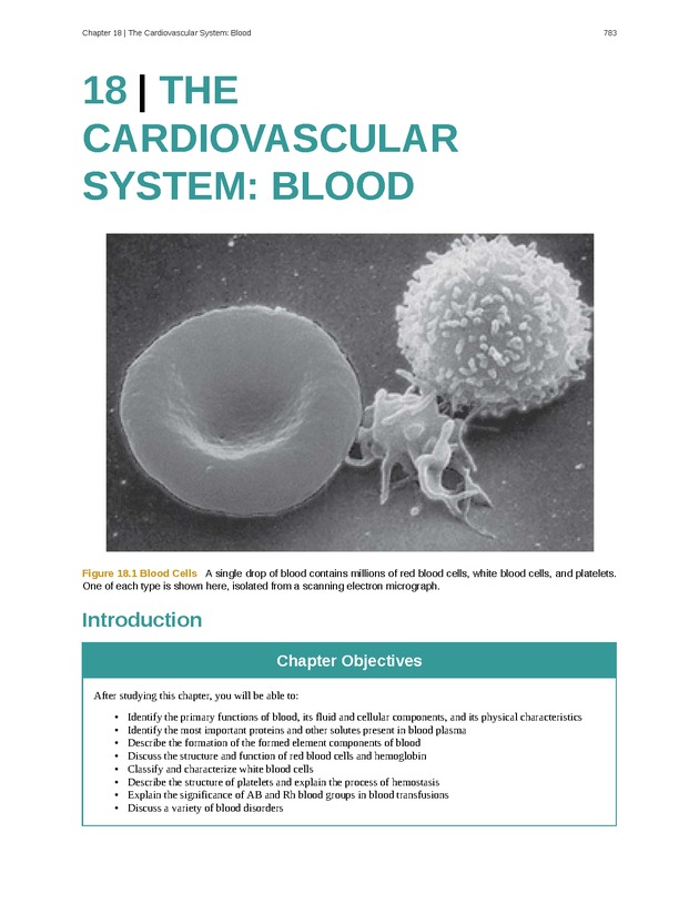Anatomy & Physiology - 