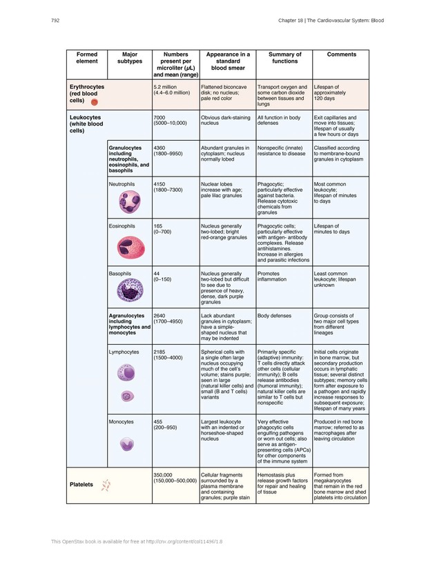 Anatomy & Physiology - 