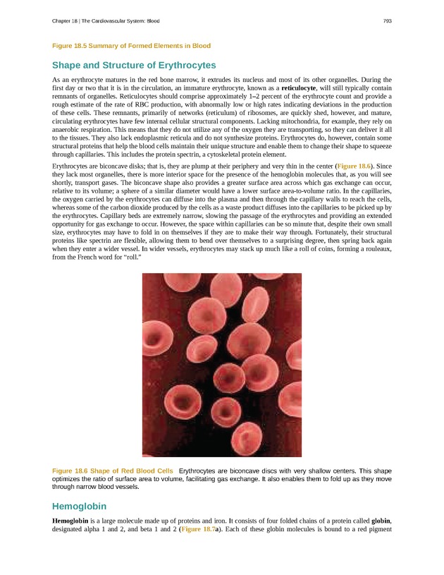 Anatomy & Physiology - 