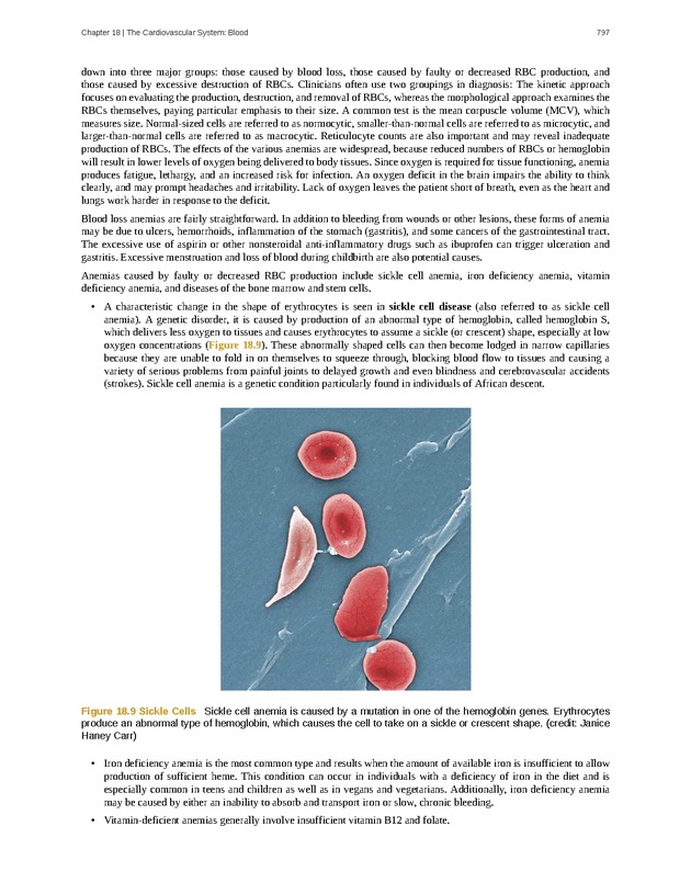 Anatomy & Physiology - 