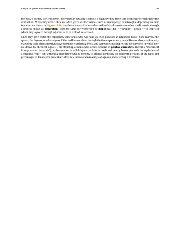 Anatomy & Physiology - 