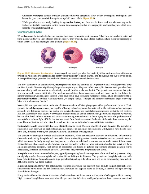 Anatomy & Physiology - 