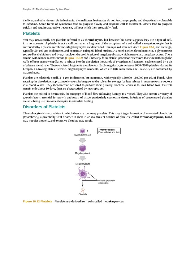 Anatomy & Physiology - 