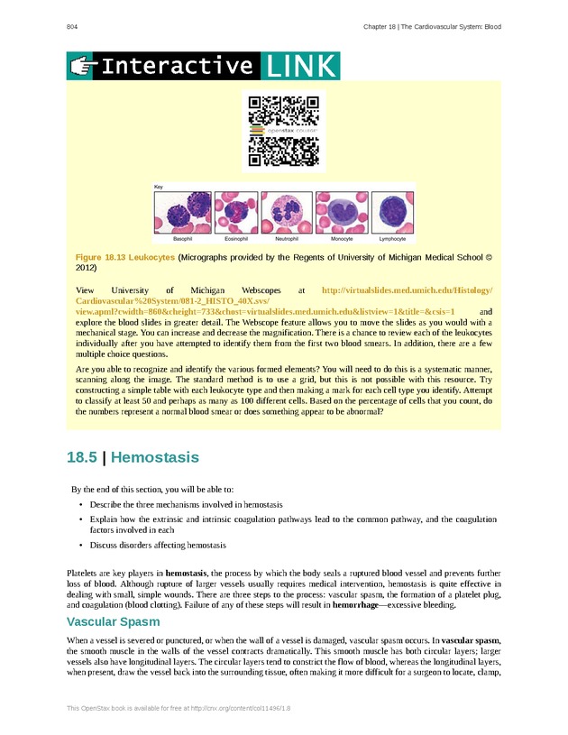 Anatomy & Physiology - 