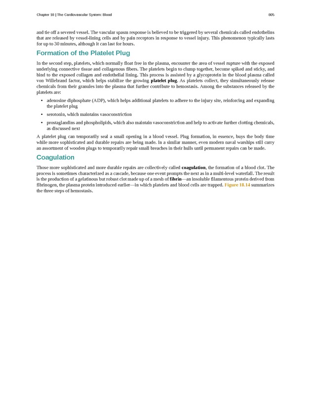 Anatomy & Physiology - 