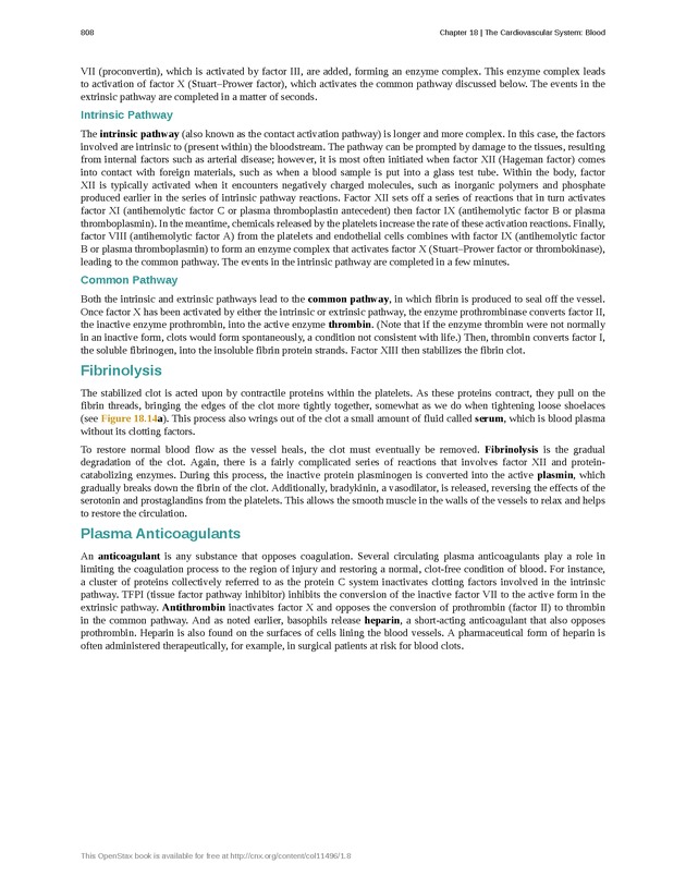 Anatomy & Physiology - 