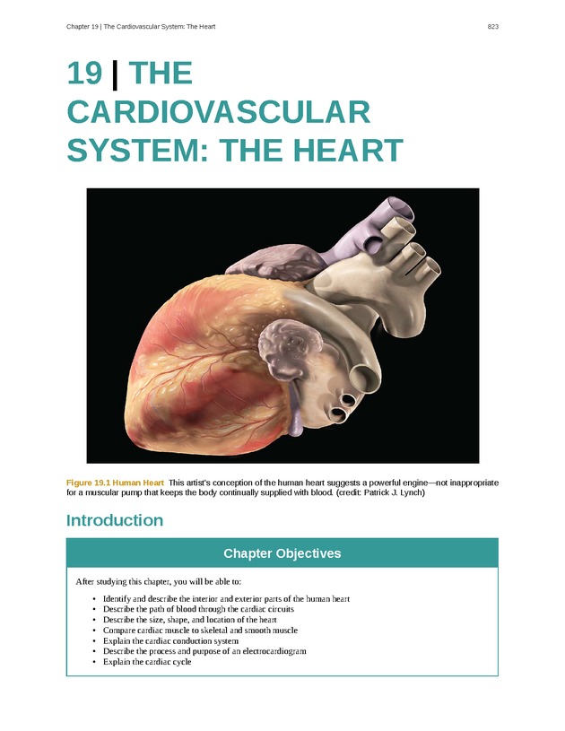 Anatomy & Physiology - 