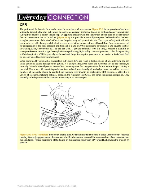 Anatomy & Physiology - 