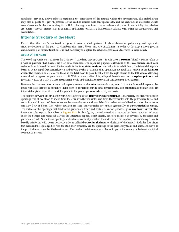 Anatomy & Physiology - 