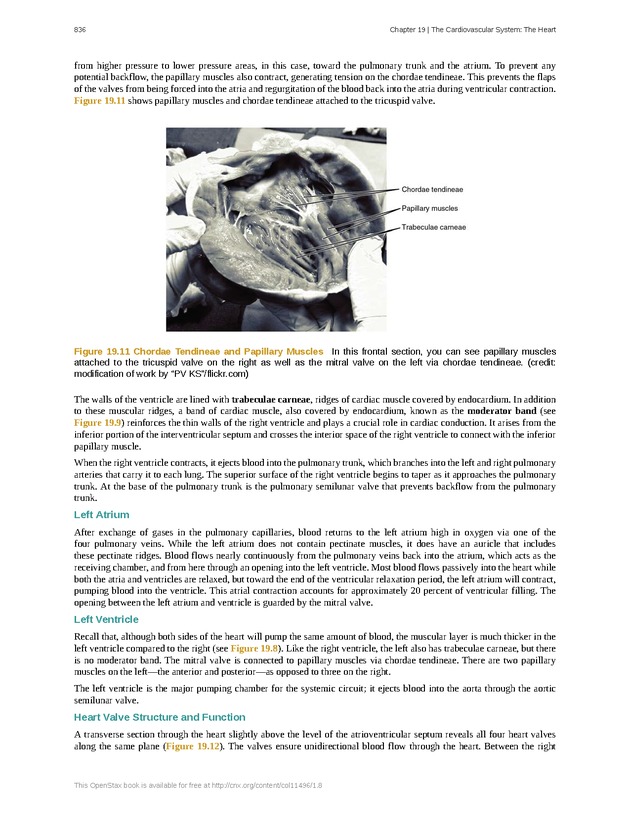 Anatomy & Physiology - 
