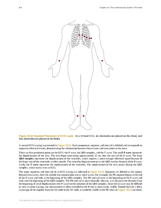 Anatomy & Physiology - 