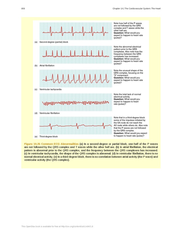 Anatomy & Physiology - 