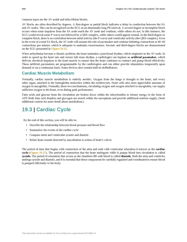 Anatomy & Physiology - 