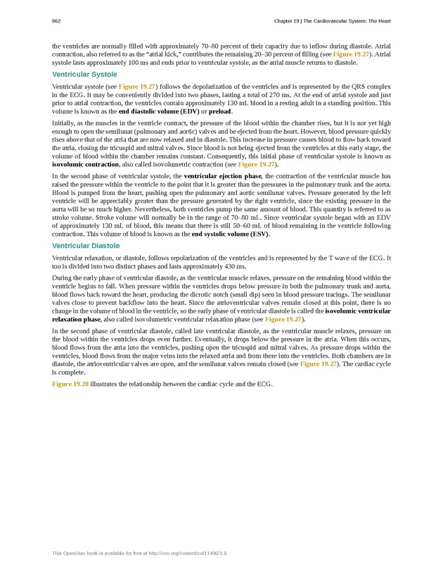 Anatomy & Physiology - 
