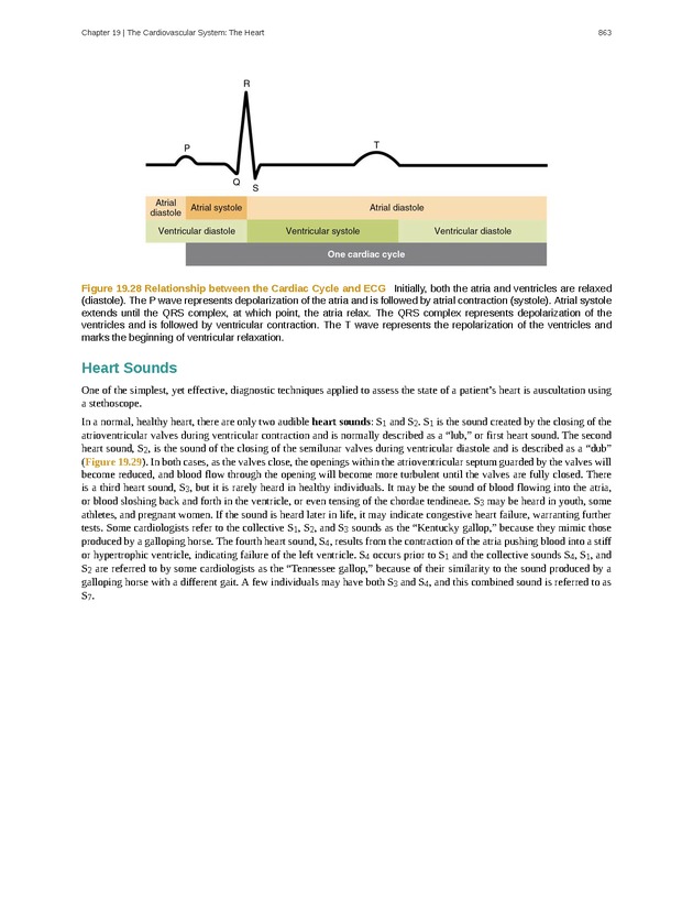 Anatomy & Physiology - 