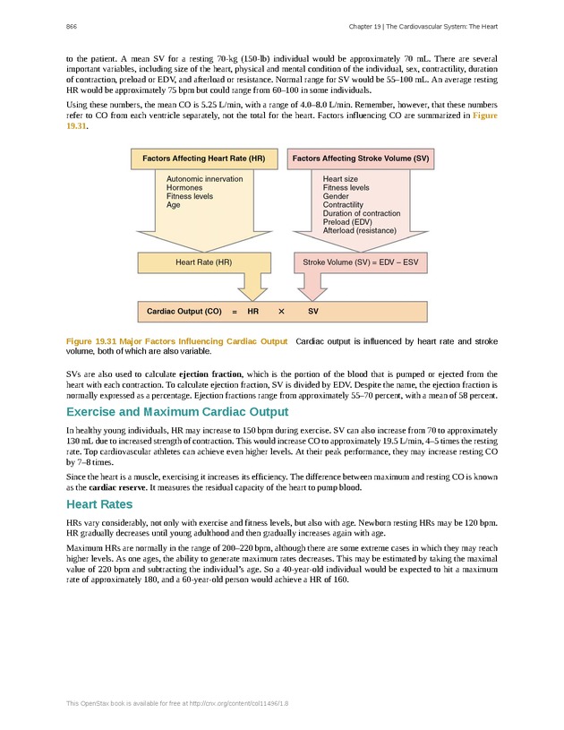 Anatomy & Physiology - 
