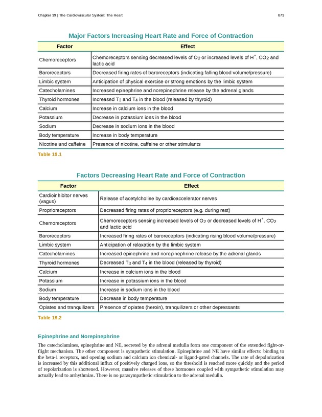 Anatomy & Physiology - 