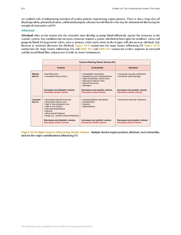 Anatomy & Physiology - 