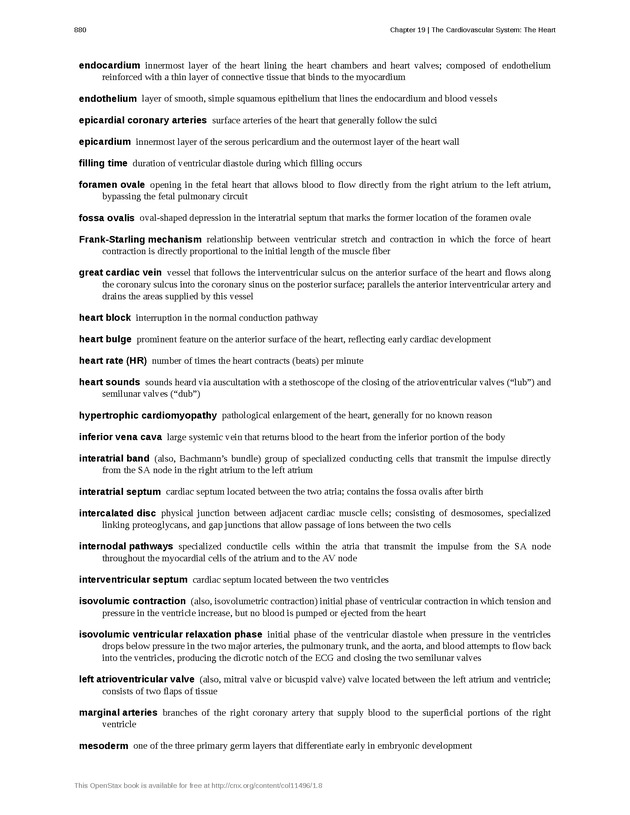 Anatomy & Physiology - 