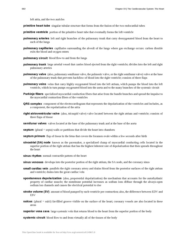 Anatomy & Physiology - 