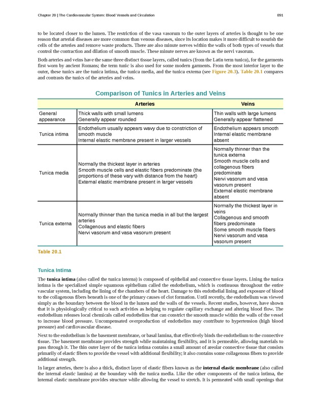 Anatomy & Physiology - 