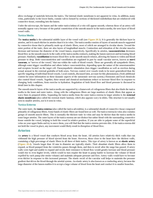 Anatomy & Physiology - 