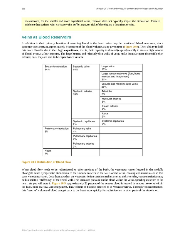 Anatomy & Physiology - 