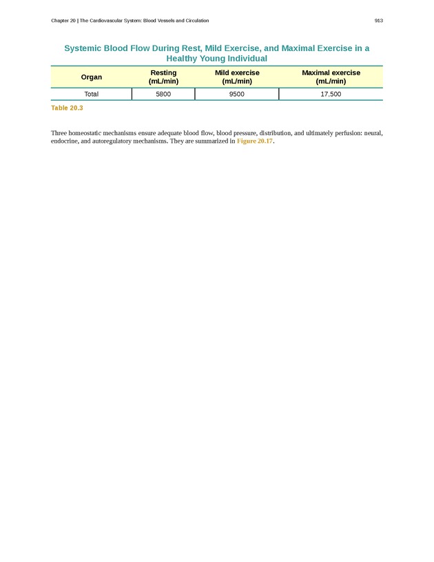 Anatomy & Physiology - 