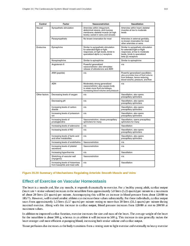 Anatomy & Physiology - 