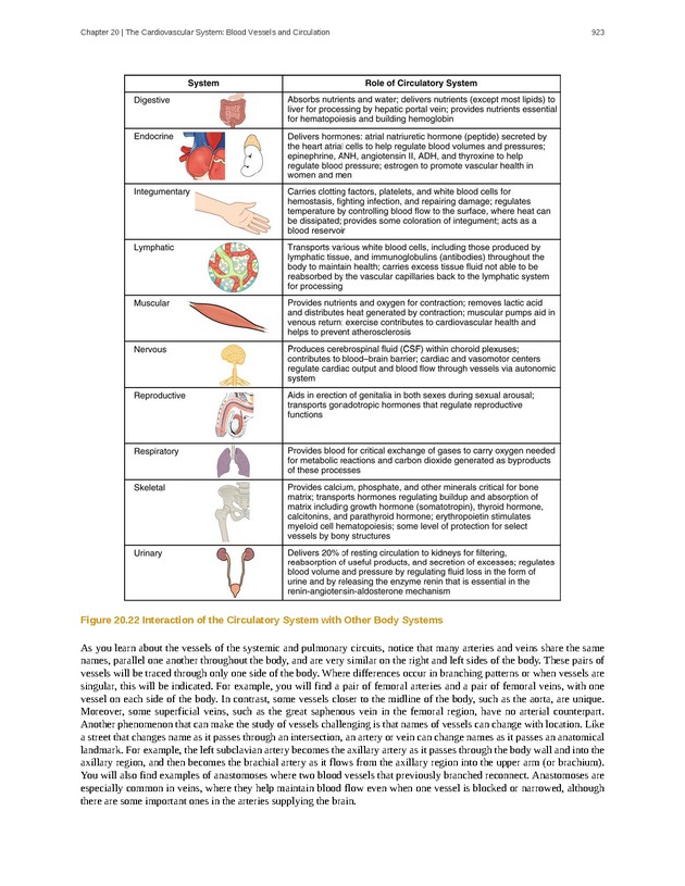 Anatomy & Physiology - 