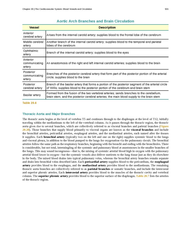 Anatomy & Physiology - 