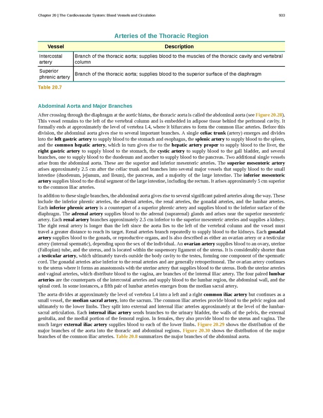 Anatomy & Physiology - 
