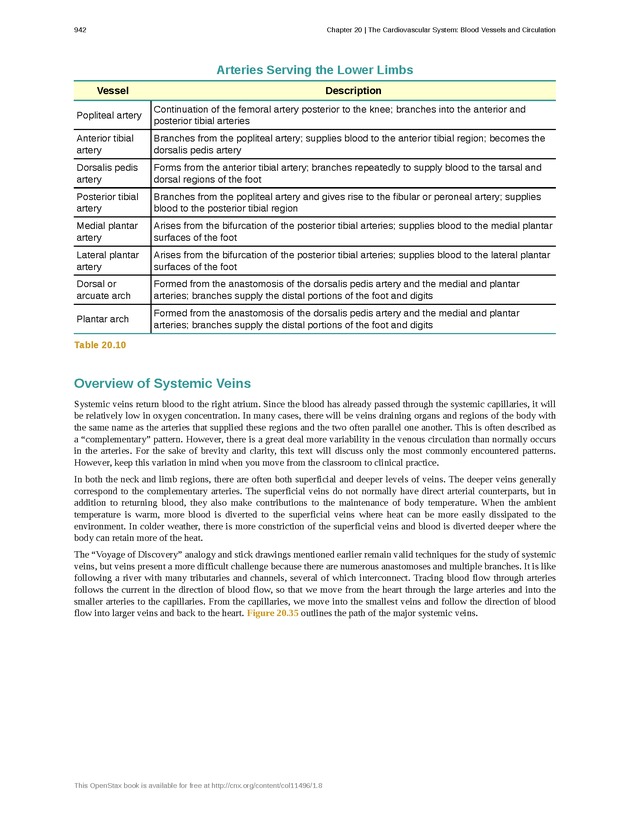 Anatomy & Physiology - 