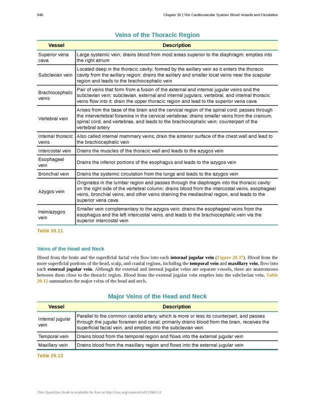 Anatomy & Physiology - 