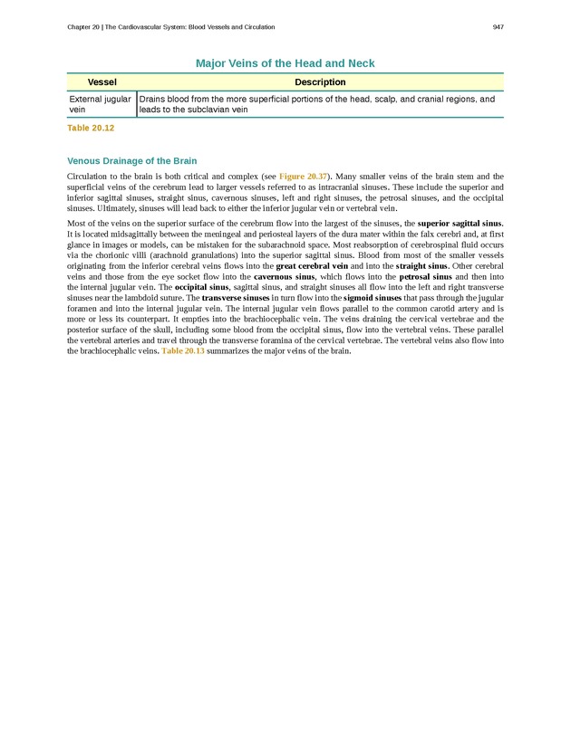 Anatomy & Physiology - 