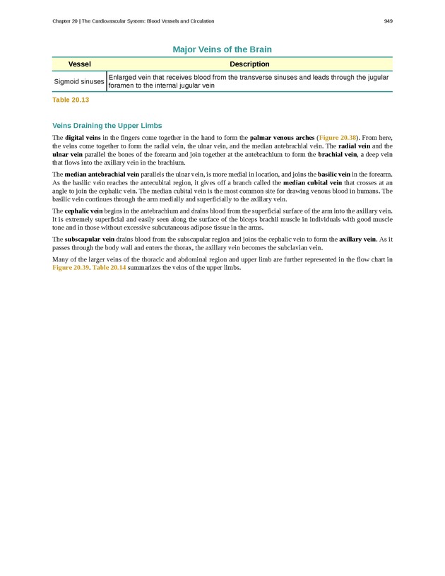 Anatomy & Physiology - 