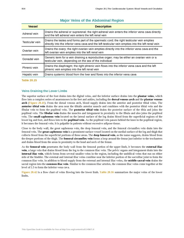 Anatomy & Physiology - 